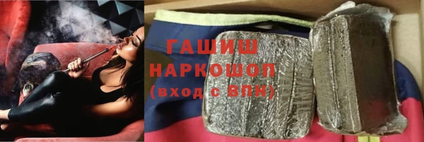 стаф Алзамай