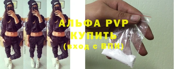 стаф Алзамай
