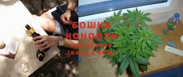 прущие грибы Абдулино