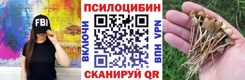 где купить наркоту  Сысерть  Псилоцибиновые грибы прущие грибы 